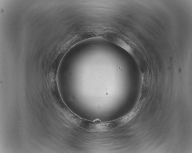 X0000064750184200602101222