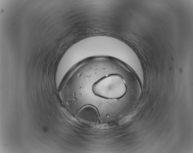 X0000064750185200602101222