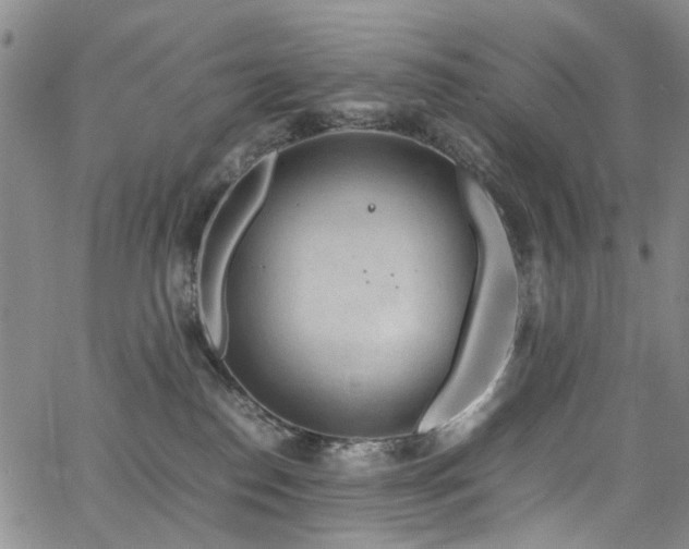 X0000064750186200602101222