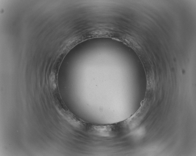 X0000064750187200602101222