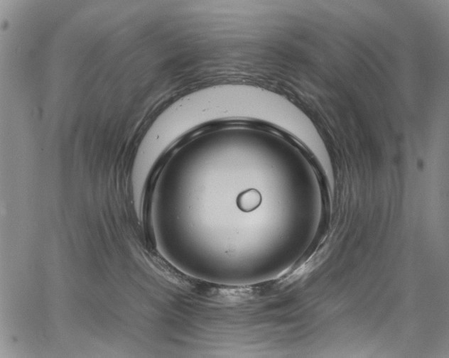 X0000064750188200602101222