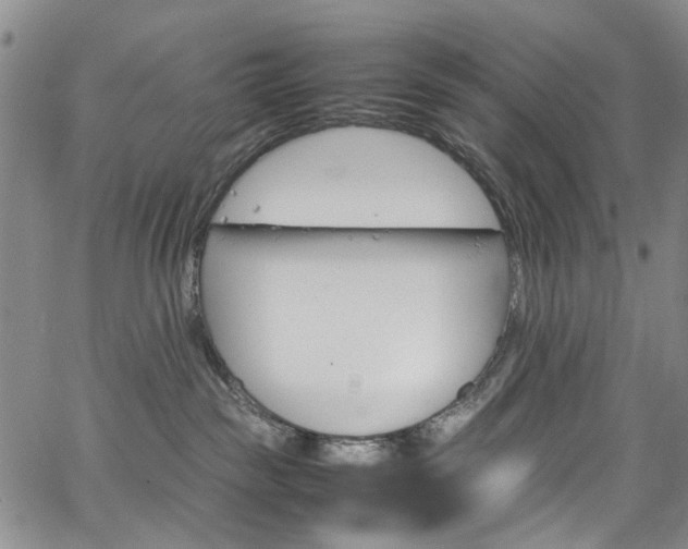 X0000064750189200602101222