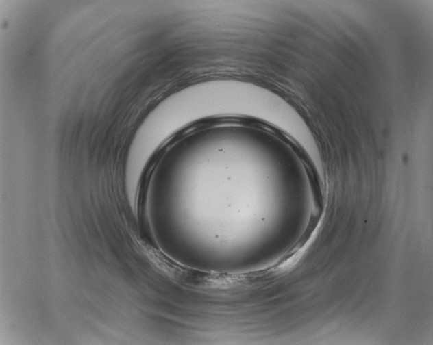 X0000064750190200602101222