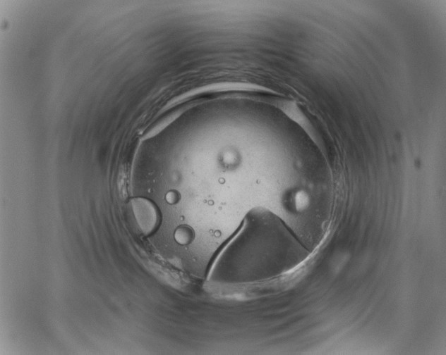 X0000064750191200602101222