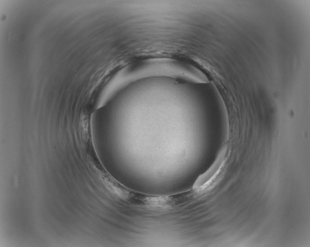 X0000064750192200602101222