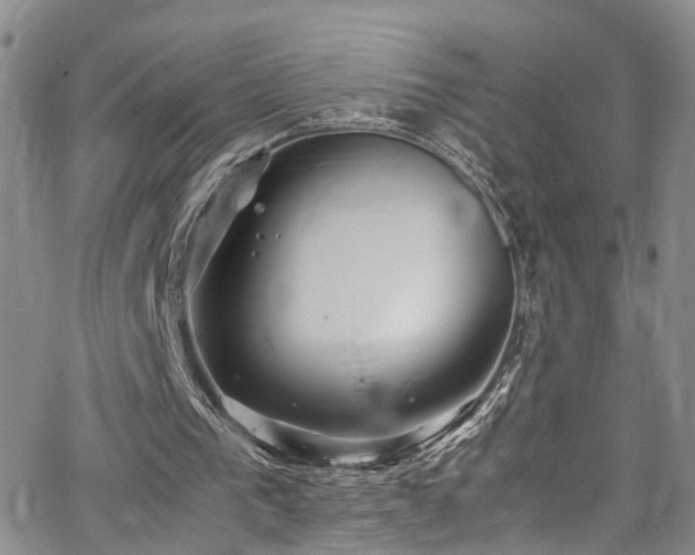 X0000064750193200602101221