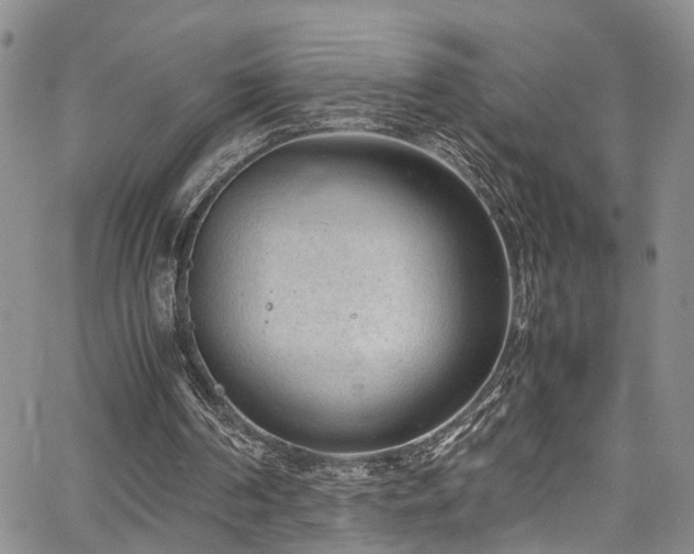 X0000064750194200602101221