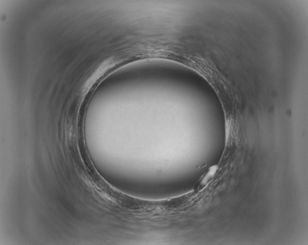 X0000064750195200602101221