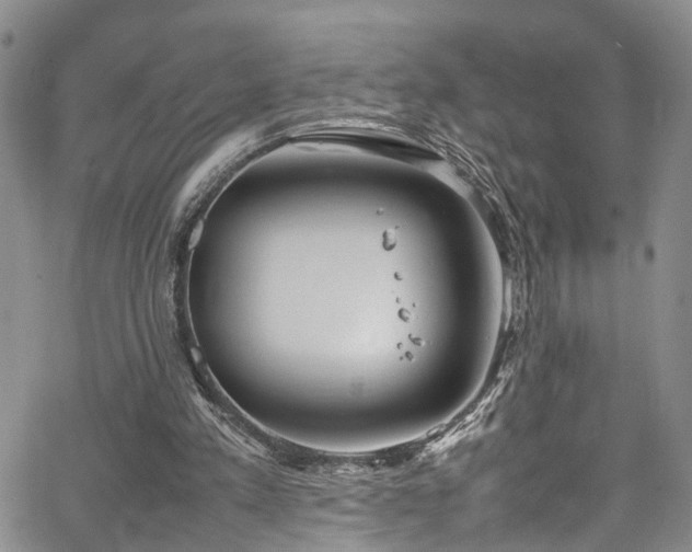 X0000064750197200602101221