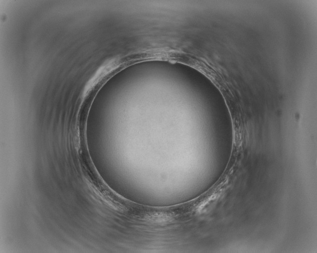 X0000064750198200602101221