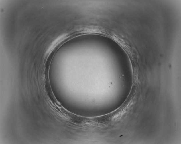 X0000064750199200602101221