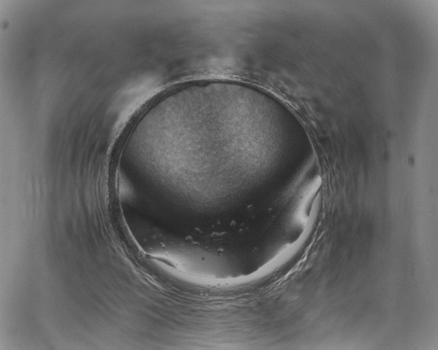 X0000064750200200602101221