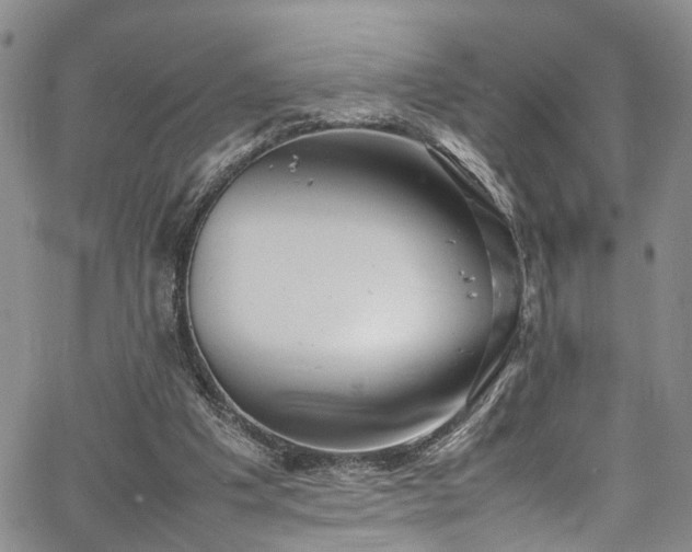 X0000064750201200602101221