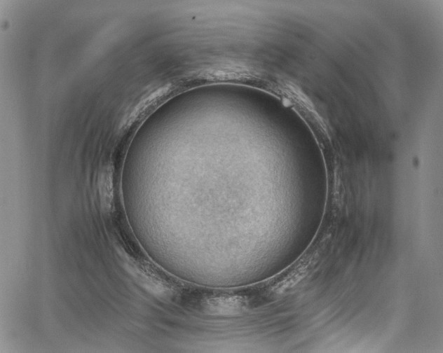 X0000064750202200602101221