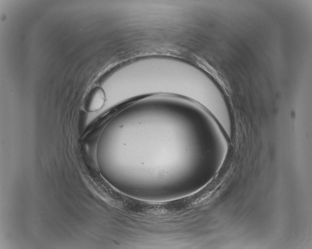 X0000064750203200602101221