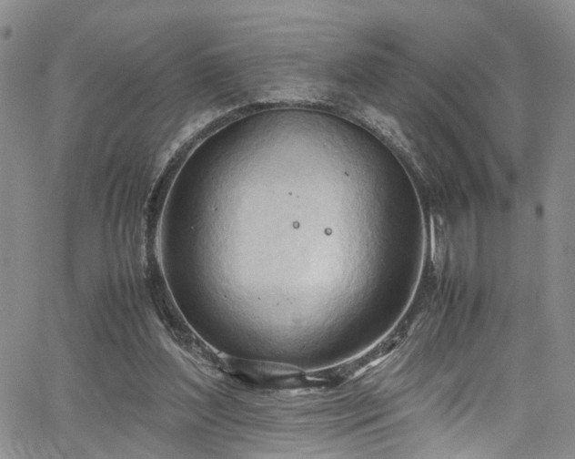 X0000064750204200602101221