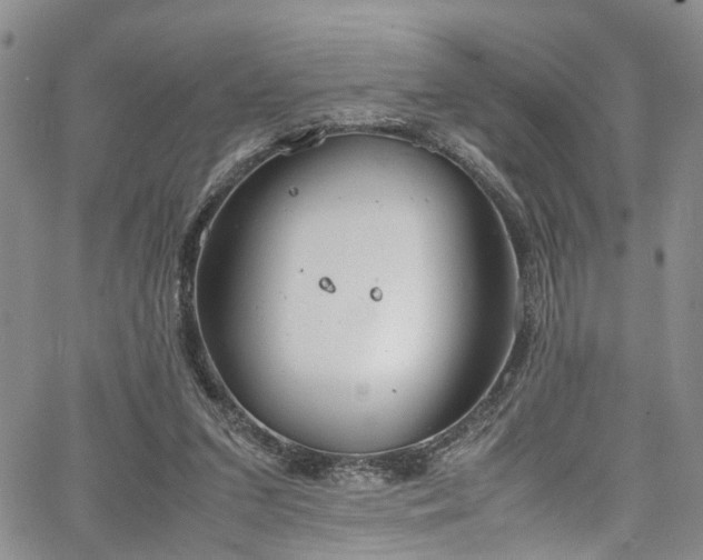 X0000064750207200602101221