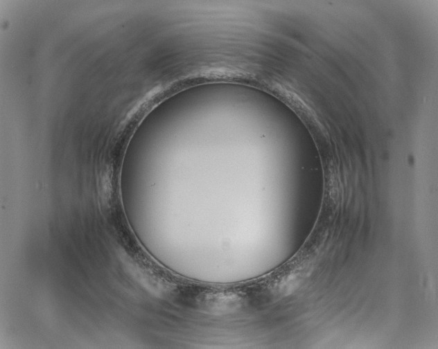 X0000064750208200602101221