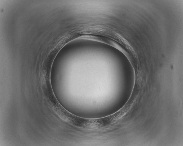 X0000064750209200602101221