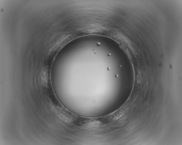 X0000064750210200602101221