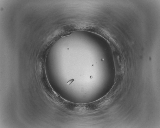 X0000064750211200602101221