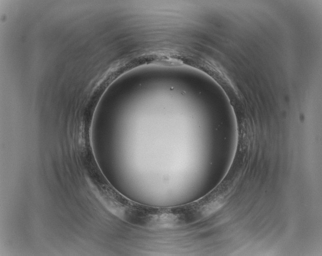 X0000064750212200602101221