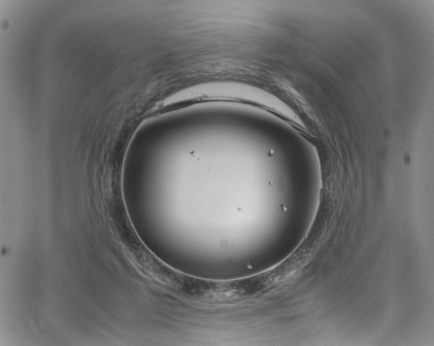 X0000064750213200602101221