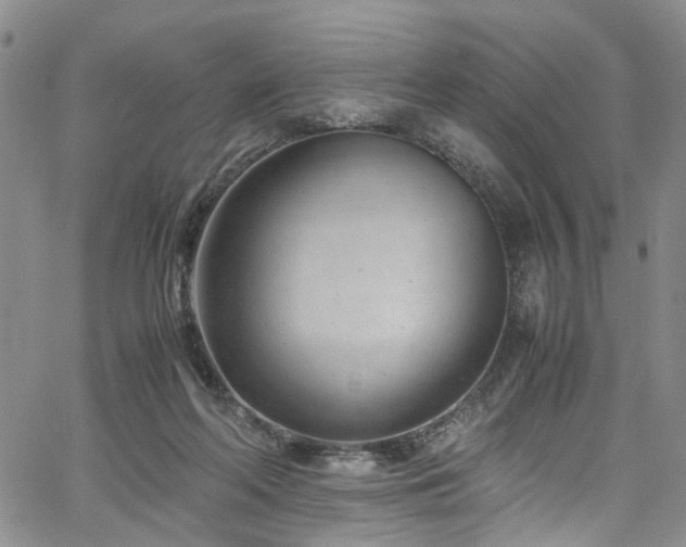 X0000064750214200602101221