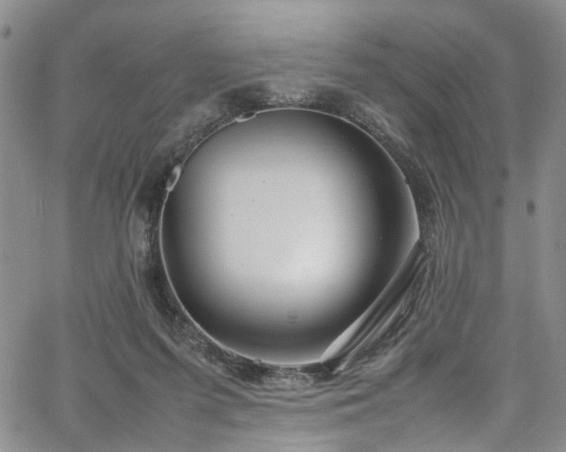 X0000064750215200602101221