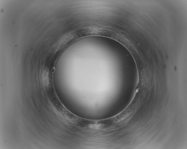 X0000064750216200602101221