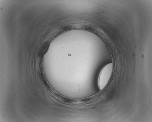 X0000064750217200602101221