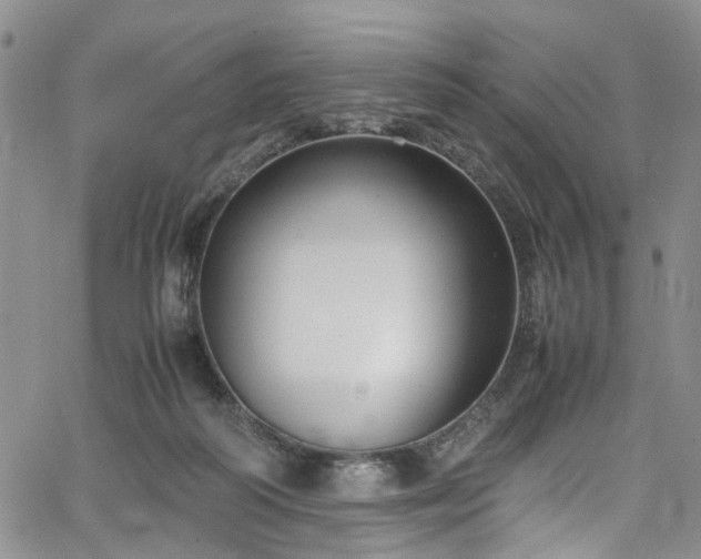 X0000064750218200602101221