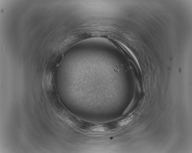 X0000064750219200602101221