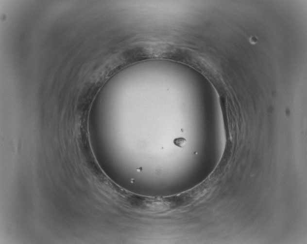 X0000064750221200602101221