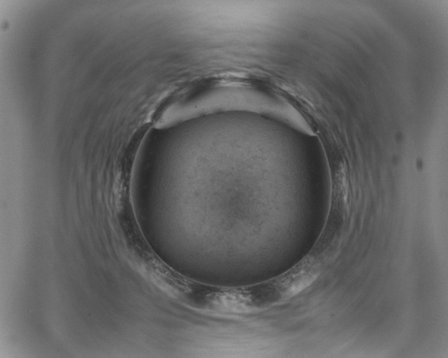 X0000064750223200602101221