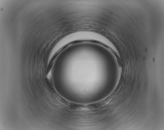 X0000064750224200602101221