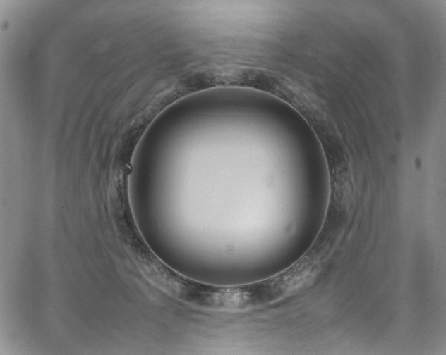 X0000064750225200602101221