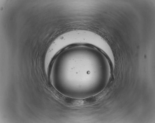 X0000064750227200602101221