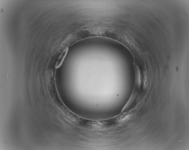 X0000064750229200602101221