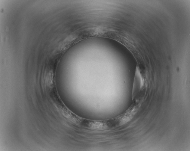 X0000064750230200602101221