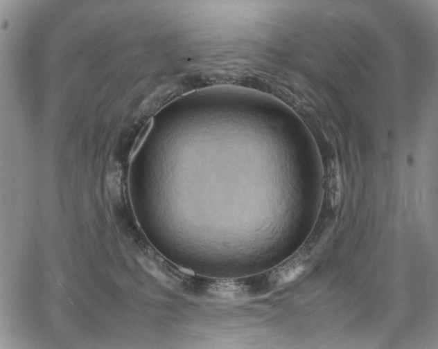 X0000064750231200602101221