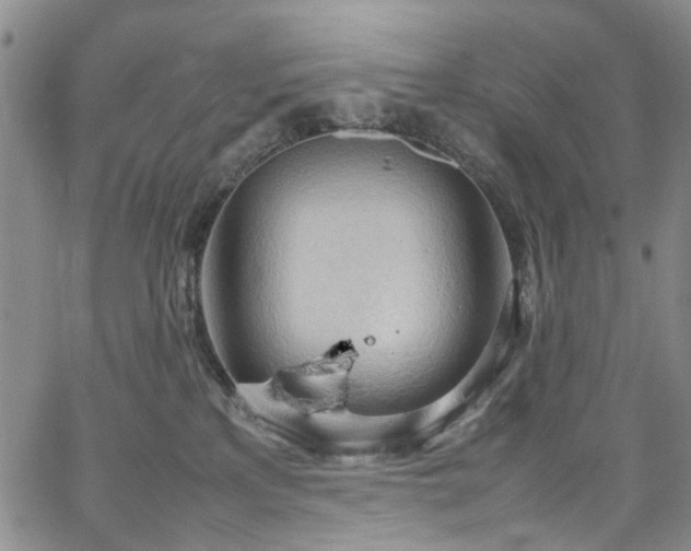 X0000064750233200602101221