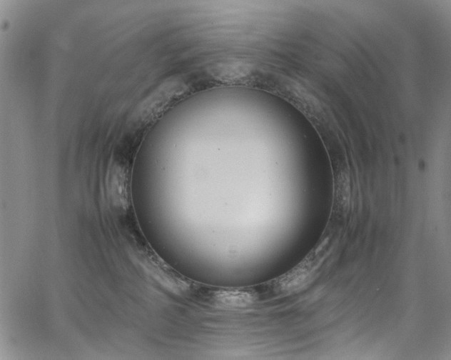 X0000064750234200602101221