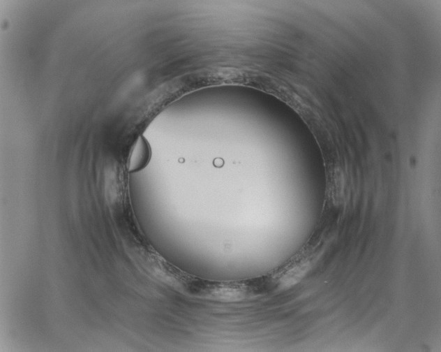 X0000064750236200602101221