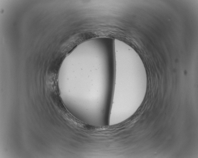 X0000064750237200602101221