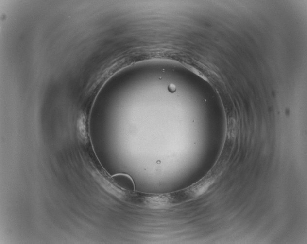 X0000064750238200602101221