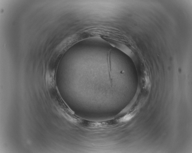 X0000064750239200602101221