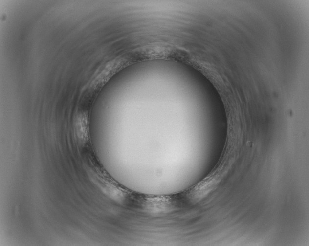 X0000064750240200602101220