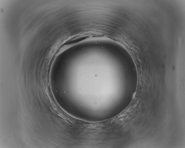 X0000064750241200602101220