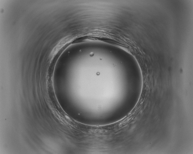 X0000064750242200602101220